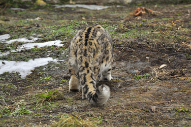 Similar image 21869341