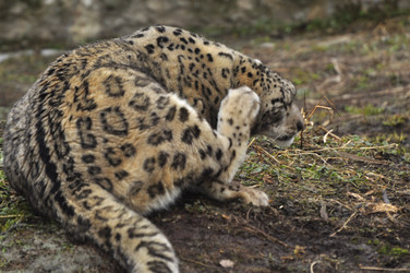 Similar image 21869342