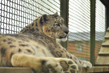 Similar image 21869343