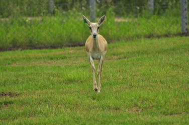 Similar image 21871859