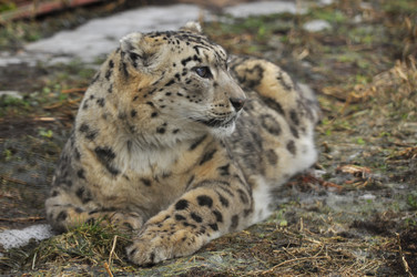 Similar image 21871860