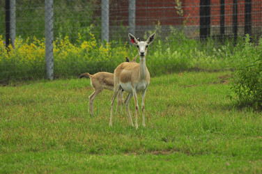 Similar image 21871862