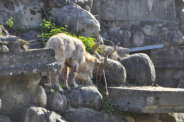 Similar image 21869345