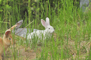 Similar image 21869346