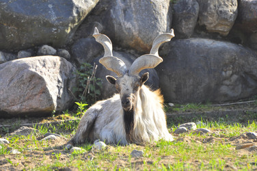 Similar image 21871863