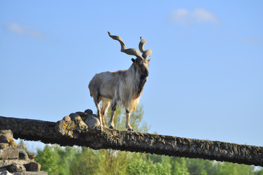 Similar image 21869347