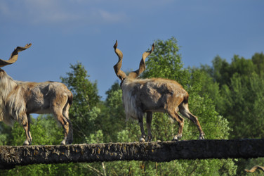 Similar image 21869348