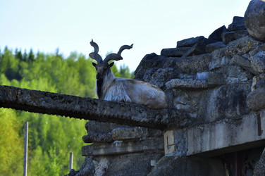 Similar image 21869349