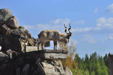 Similar image 21869350