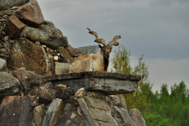 Similar image 21869352