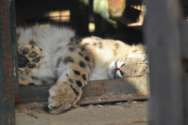 Similar image 21869353