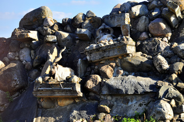 Similar image 21869354