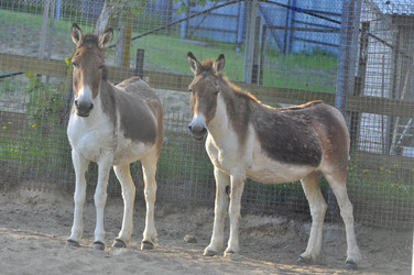 Similar image 21869356