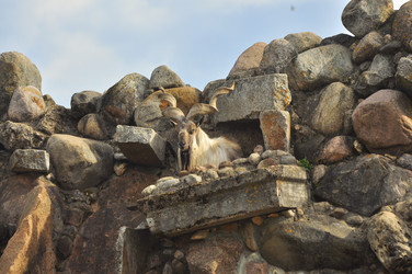 Similar image 21869357