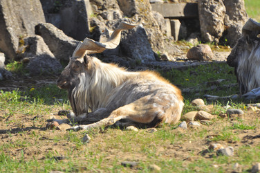 Similar image 21869358