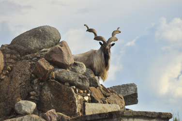 Similar image 21869360