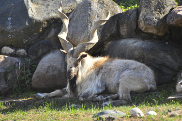 Similar image 21869363