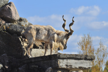 Similar image 21869365