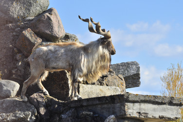 Similar image 21869366