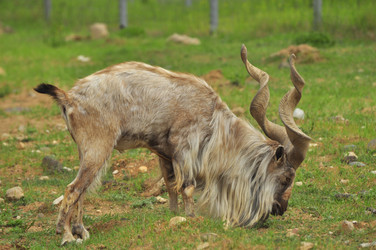 Similar image 21869367