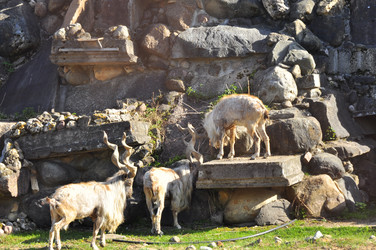 Similar image 21869368