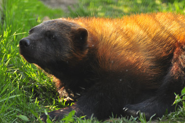 Similar image 21869369