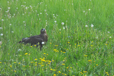 Similar image 21869371