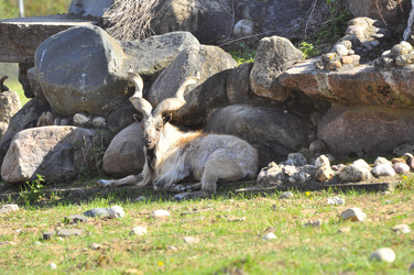 Similar image 21869372