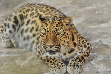 Similar image 21869373