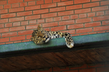 Similar image 21869374