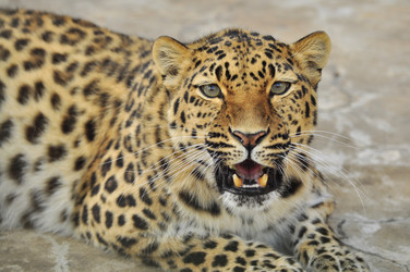 Similar image 21869375