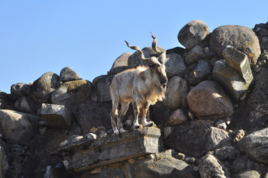 Similar image 21869376