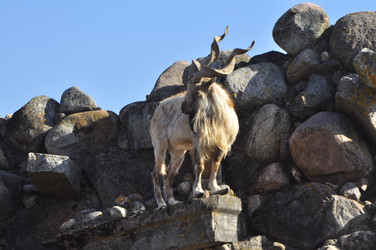 Similar image 21869377