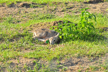 Similar image 21869379