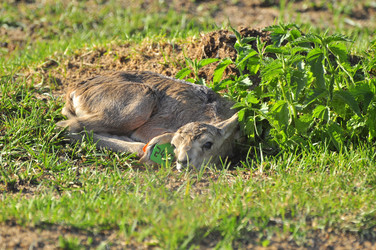 Similar image 21869380