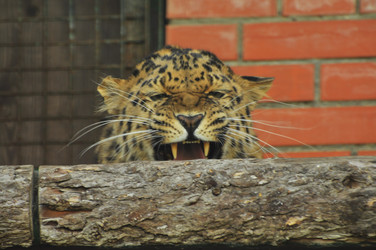 Similar image 21869381