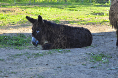 Similar image 21869382