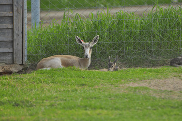 Similar image 21869383