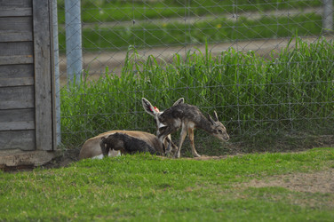 Similar image 21869384