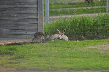 Similar image 21869386