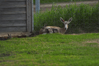 Similar image 21869387