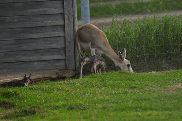 Similar image 21869388