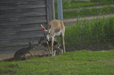 Similar image 21869389