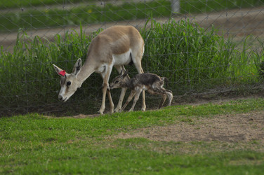 Similar image 21869390