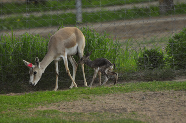 Similar image 21869392