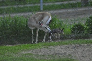 Similar image 21869393