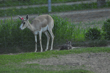 Similar image 21869394