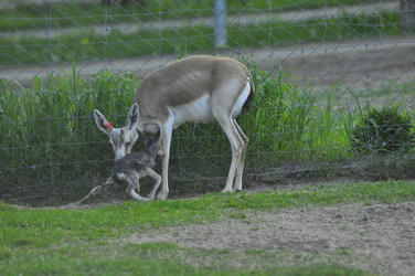 Similar image 21869395