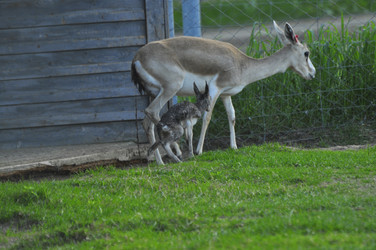 Similar image 21869396