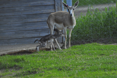 Similar image 21869397